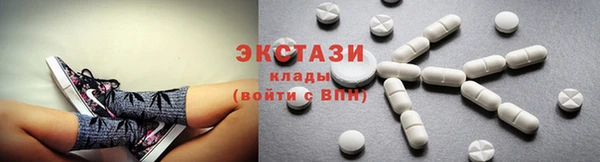 стаф Удомля