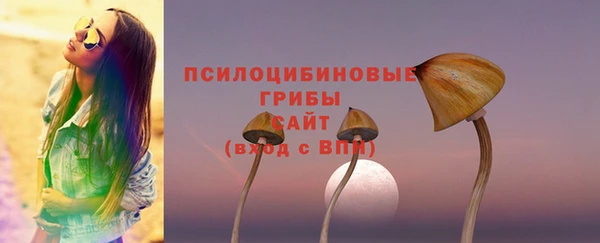 ECSTASY Ветлуга