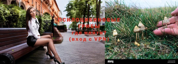 мяу мяу мука Весьегонск
