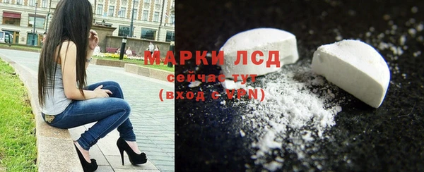 стаф Удомля