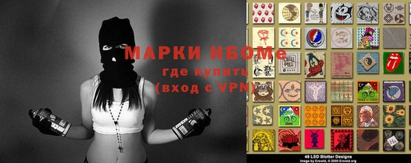 стаф Узловая