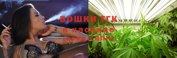 ECSTASY Ветлуга