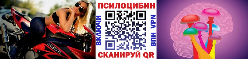 наркотики  Артёмовск  МЕГА tor  Псилоцибиновые грибы GOLDEN TEACHER 